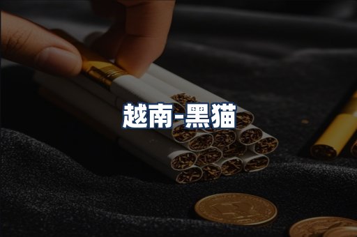 越南黑猫